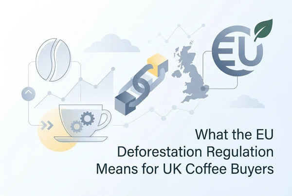 Header image; What the EU Deforestation Regulation Means for UK Coffee ...