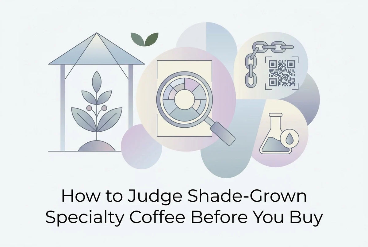 Professional header image for list-based article: How to Judge Shade-Grown Specialty Coffee Before You Buy