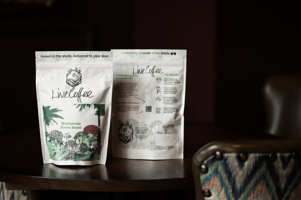Speciality Coffee Gift Ideas: A Guide to Botanical and Ethical Excellence in 2026