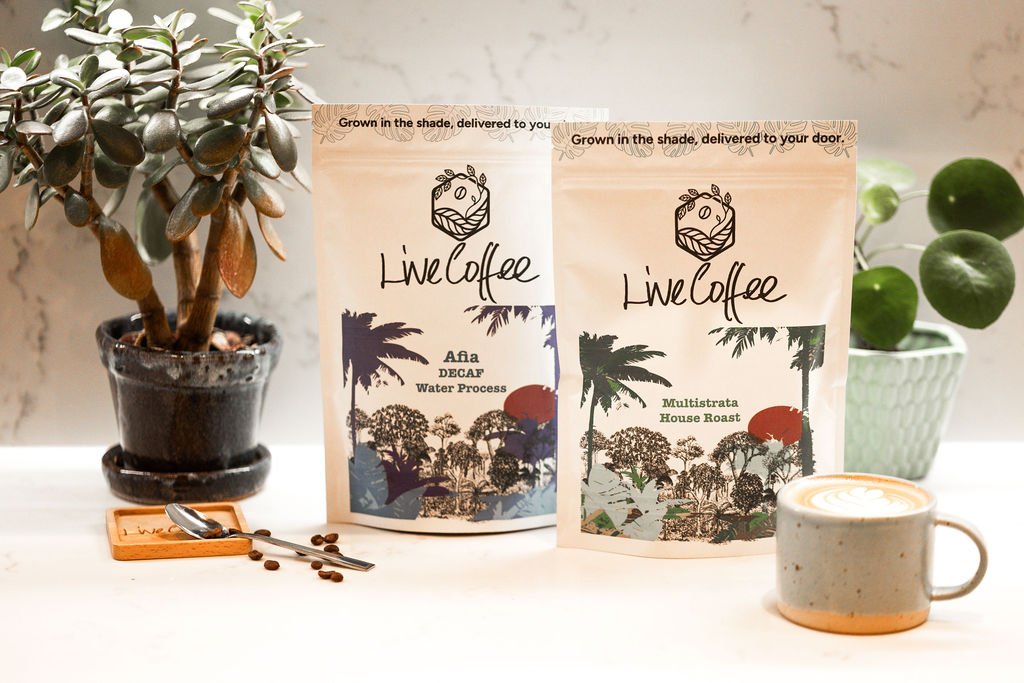 Mastering the Art of Brewing Shade-Grown Coffee: A Professional Guide