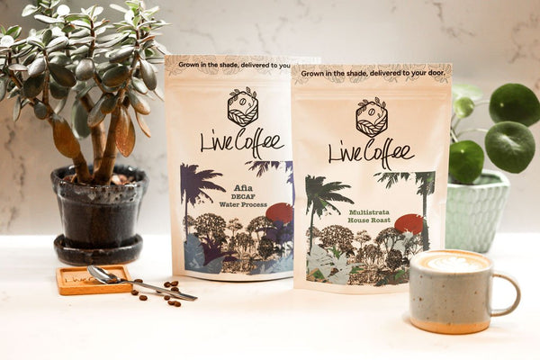 Mastering the Art of Brewing Shade-Grown Coffee: A Professional Guide