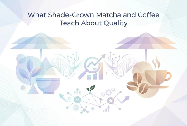 Professional header image for comparison analysis: What Shade-Grown Matcha and Coffee Teach About Quality