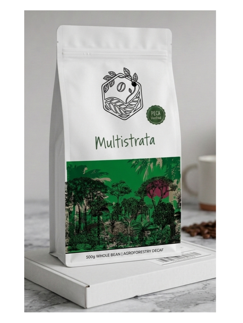Multistrata - Live Coffee from Mexico
